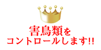 害鳥類をコントロールします!!